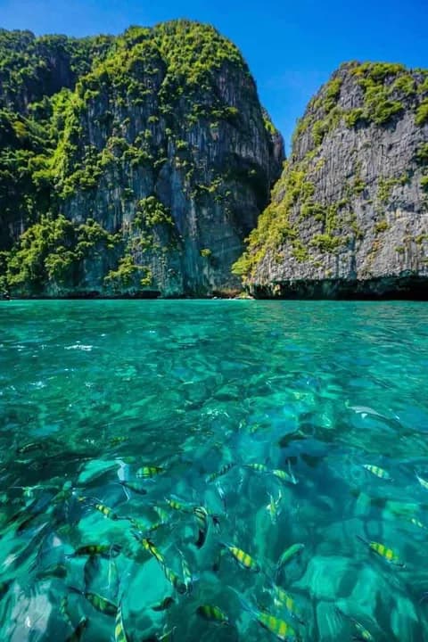 ทริปรวม — เต็มวัน
